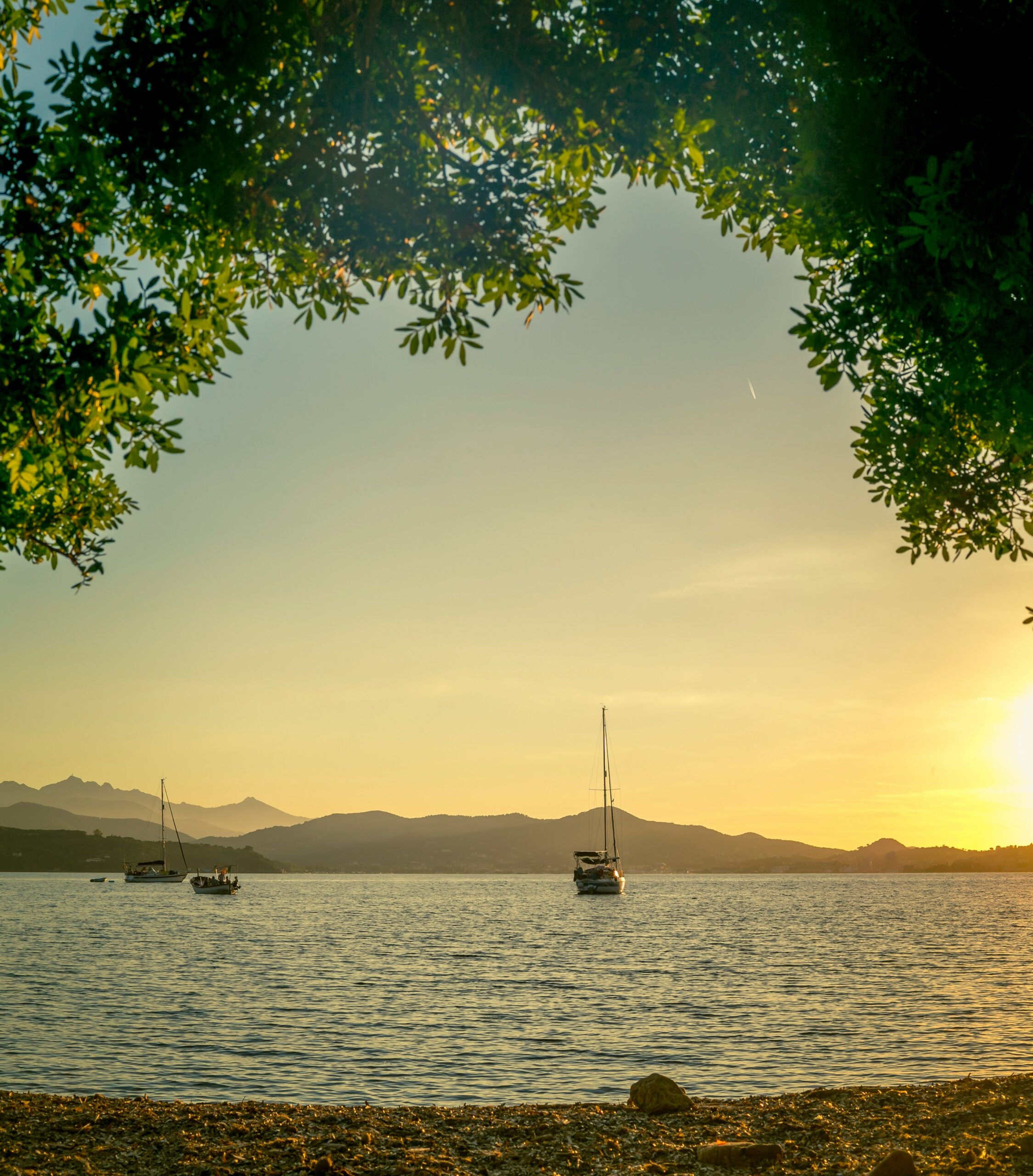 Elba Island 